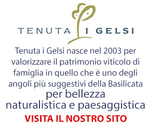 Tenuta I Gelsi